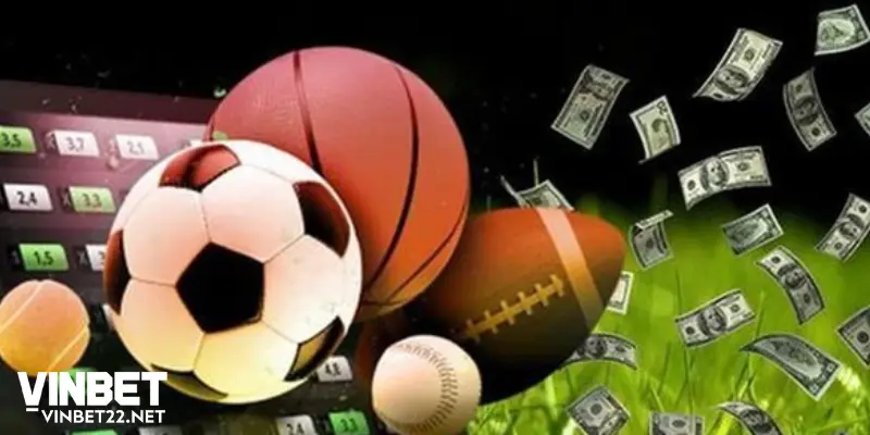 Lý do chuyên mục Thể thao Vinbet trở nên được yêu thích